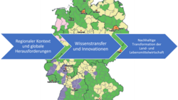 Innovationen und Wissenstransfer in der Land- und Lebensmittelwirtschaft