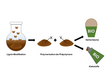 Development of lignin-based polyurethanes for foams and adhesives.