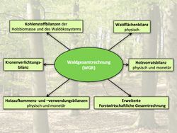 Aktualisierung der Waldgesamtrechnung (WGR)