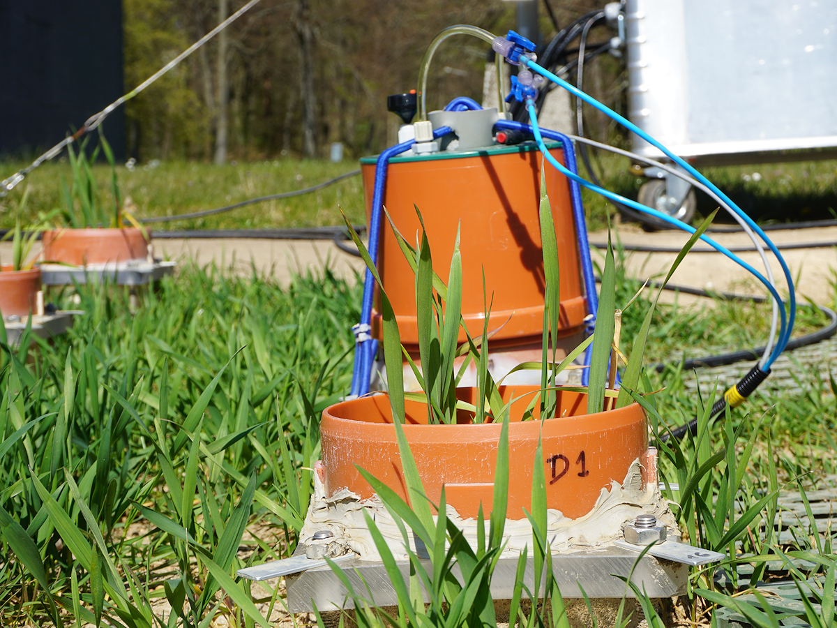 Measuring soil gases in winter wheat