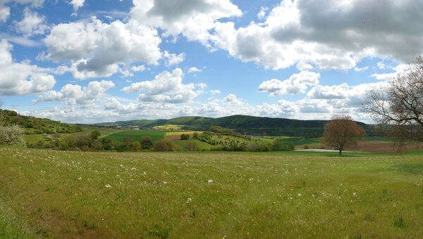 Agricultural landscape