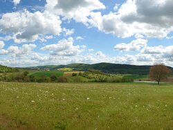 Landschaftsökologie