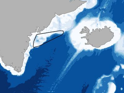 Karte des Meeresgebietes zwischen Grönland und Island mit Tiefenangaben.