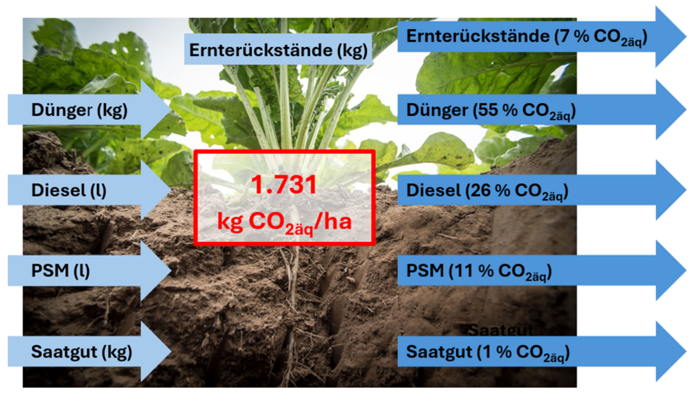 Die einzelnen Bestandteile als beschriftete Pfeile einer THG-Bilanz als Inputkategorien, Outputkategorien und das Ergebnis der Bilanz für die typischen Betriebe in Deutschland mit 1.731 kg CO2äq/ha Zuckerrübenfläche.