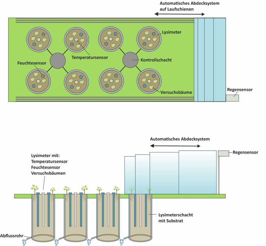 Prinzipskizze des Freilandlabors "Drylab" Prinzipskizze des Freilandlabors "Drylab"
