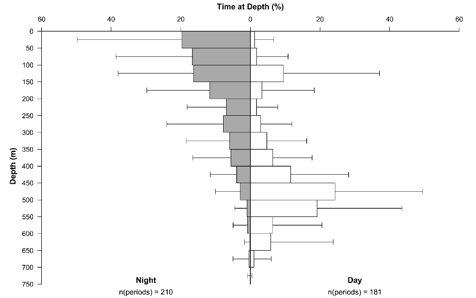 Residence depths of tope sharks migrating in the oceanic region, i.e. in the open sea, at night (left) and during the day (right) (Time at Depth = What percentage of the time do the sharks spend at what depth?). At night the sharks spend most of their time near the surface, while during the day they sometimes dive to over 750 metres and swim mainly in the 500 metre range.