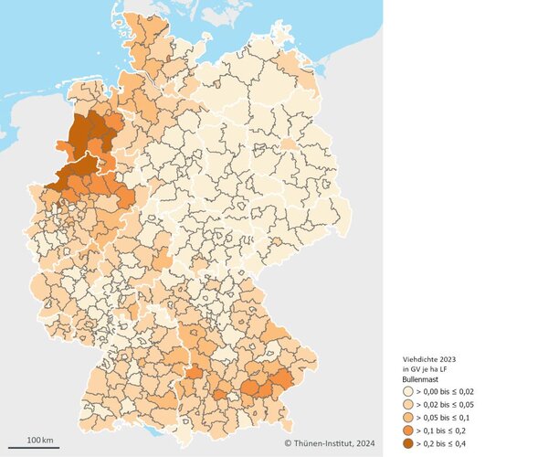 Eine Deutschlandkarte zeigt die regionale Verteilung der Mastbullen 2023 mit verschieden farbigen Flächen.