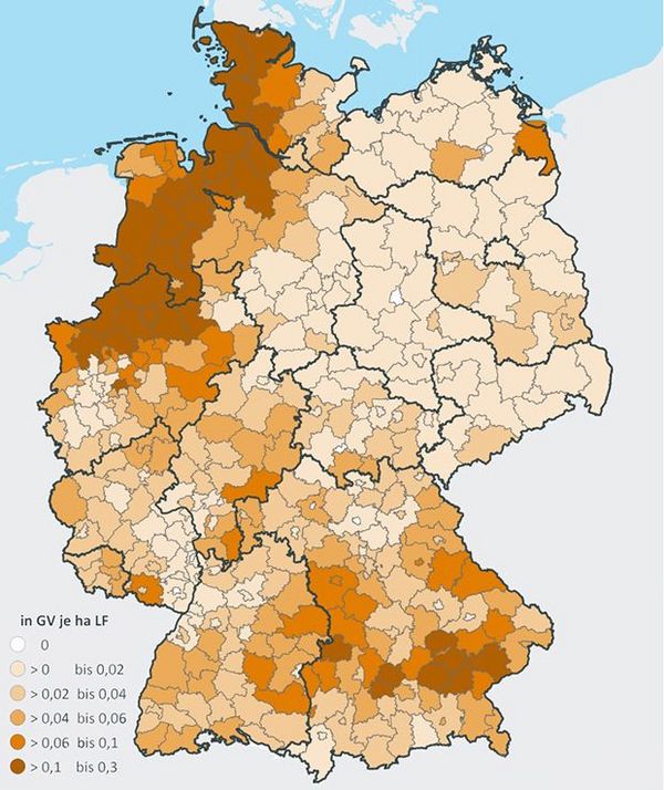 Eine Deutschlandkarte zeigt die regionale Verteilung der Mastbullen 2010 mit verschieden farbigen Flächen