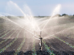 Frühjahrsdürre in Deutschland – das kann Bewässerung leisten