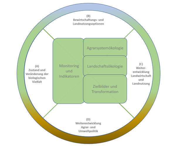 Die vier Arbeitsbereiche des Instituts für Biodiversität und deren Bezug zu den vier Leitfragen der langfristigen Forschungsplanung.