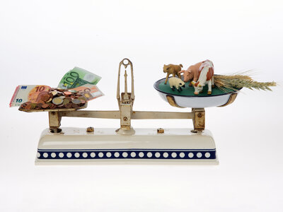 Eine Balkenwaage auf der einen Seite Geld in Scheinen und Münzen, auf der anderen Seite Tiere und Getreide.