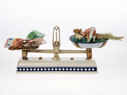 From farm to shopping basket: how food prices are determined