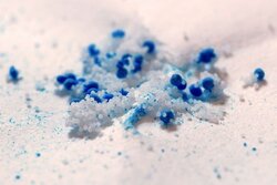 PlasM - Mikroplastik und Meeresfische