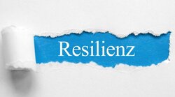 Regional economic resilience in Germany and Europe