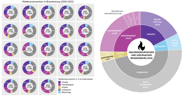 Die Grafik zeigt mehrere Tortendiagramme zu den verschieden Jahren, die Anzahl der nicht aufgeklärten Waldbrände liegt zwischen 53 und 29 Prozent, meist bei 40 Prozent.