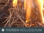 Foto zum Thünen-Kolloquium: Das Bild zeigt brennende Kiefernnadeln auf einem Waldboden.