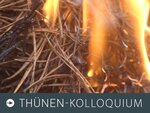 Foto zum Thünen-Kolloquium: Das Bild zeigt brennende Kiefernnadeln auf einem Waldboden.