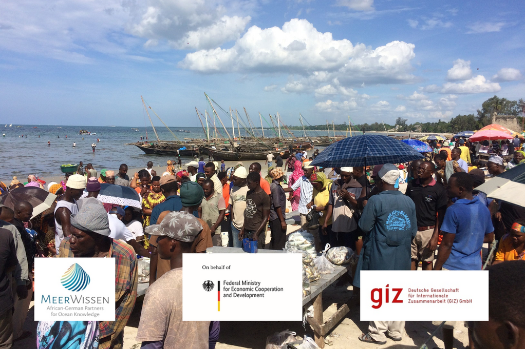 Fish market at a beach in Tanzania