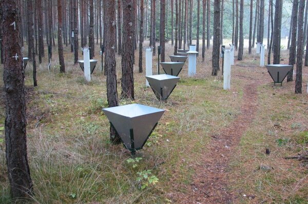 Messung des Streufalls am Waldboden eines Kiefern-Reinbestandes.