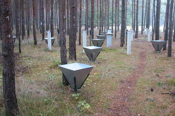 Measurement of litterfall on the forest floor of a scots pure pine stand 