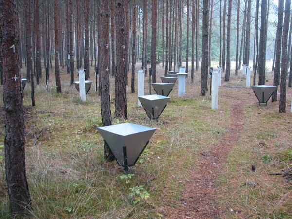 Measurement the throughfall on the forest floor in a pure scots pine stand. Measurement the throughfall on the forest floor in a pure scots pine stand.