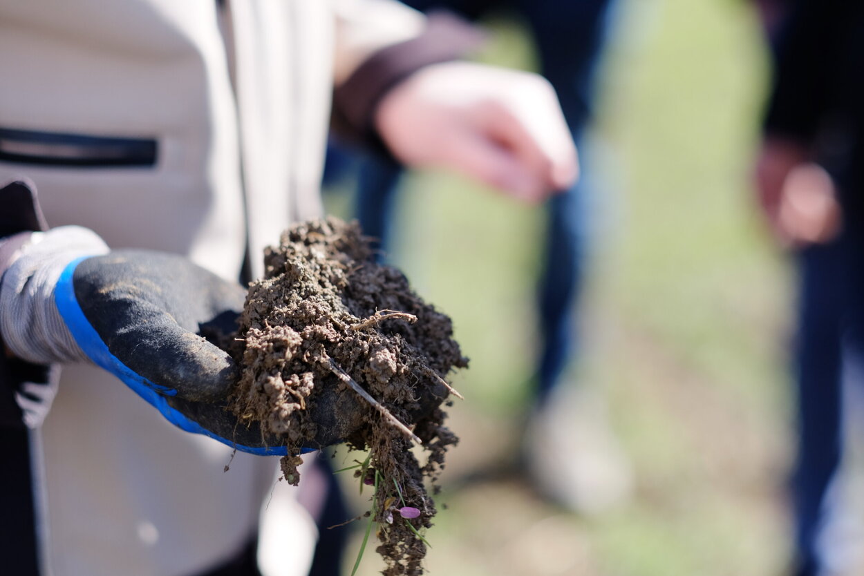 Eine Hand in einem Arbeitshandschuh mit etwas Boden auf der Handfläche. Der Boden ist mit Wurzeln durchsetzt.