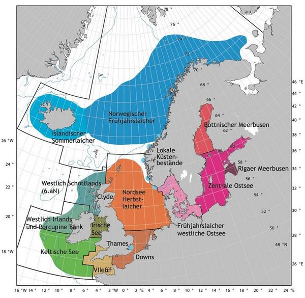 Karte zur Verbreitung verschiedener Heringsbestände in den verschiedenen Teiles des Nordost-Atlantiks