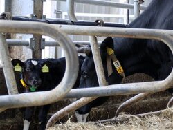 Integration into modern production systems