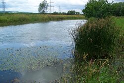 Räumlich differenzierte Analysen zum landwirtschaftlichen Gewässerschutz