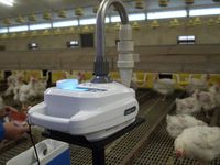Bio-aerosol measurement in animal houses with Coriolis sampler