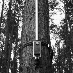 Waldbrandfrühwarnsystem INPRIWA