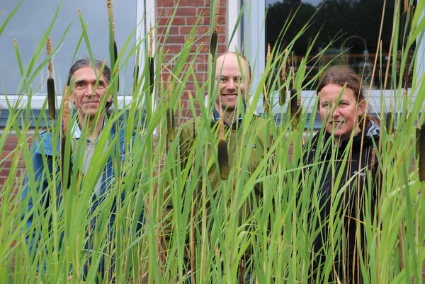 Die drei interviewten Personen schauen durch Rohrkolbenblätter hindurch.