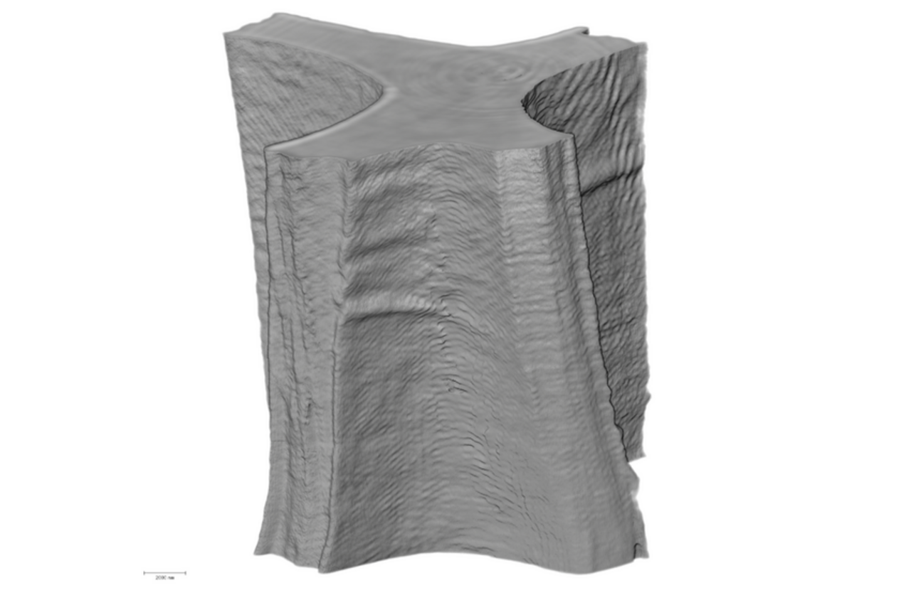 Volumenrendering der Holzzellwand