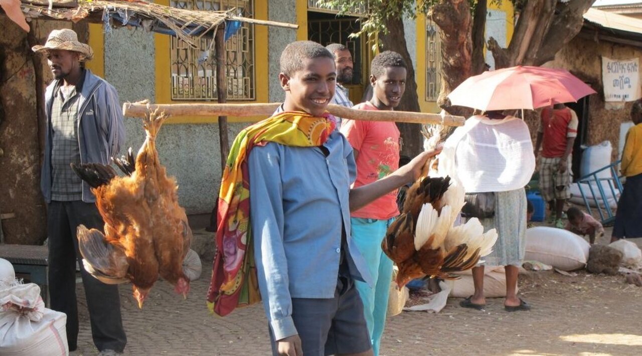 Äthiopien Geflügelverkäufer