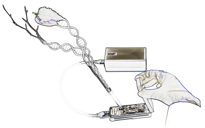 In einer grafischen Darstellung ist die MinION Sequenzier-Plattform sowie eine Hand mit Pipette gezeigt. Durch diese neue Technologien kann hochmolekulare DNA sequenziert werden.