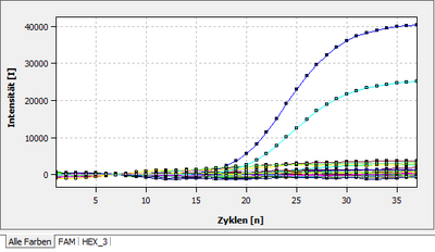 Ergebnis eines genetischen Schnelltests von 17 Fisch-Eiern.