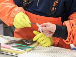 Auswirkungen von TNT und seinen Metaboliten auf Fische