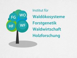 The four Thünen Forest Institutes