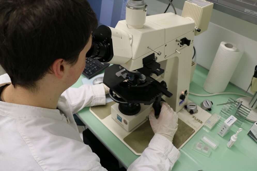 Mikrobiologie Mikroskop Mikrobiologie Mikroskop