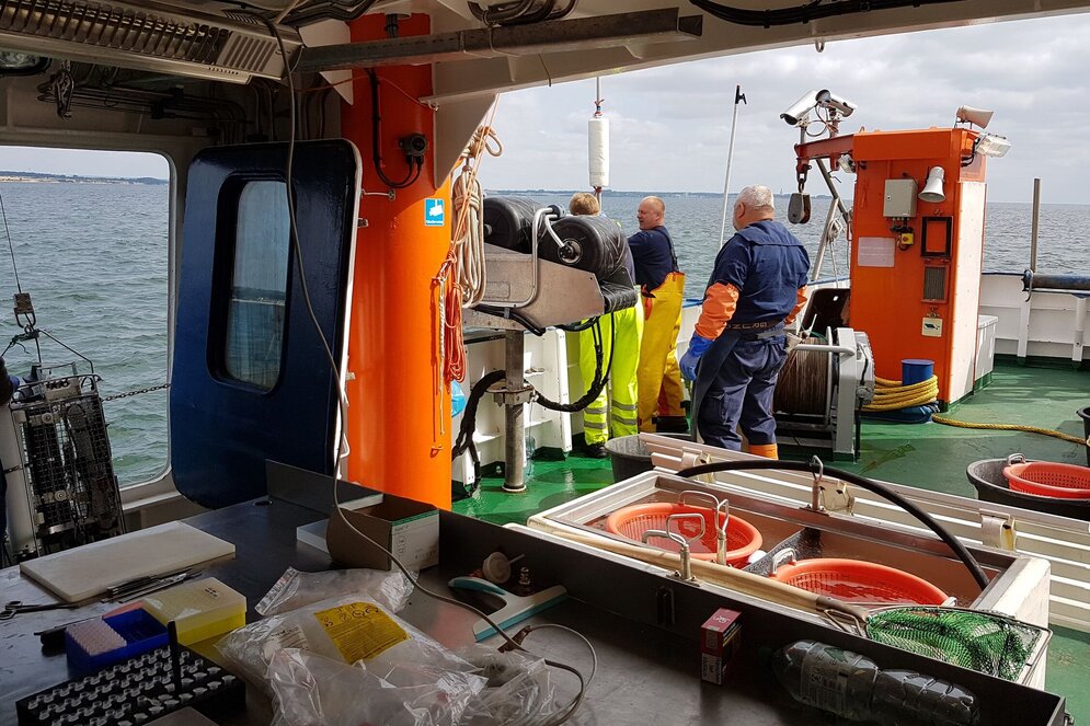 Mehrere Personen arbeiten an Bord eines Schiffes