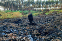 Ein kleiner verkohlter Stumpf steht auf schwarz verbranntem Boden, im Hintergrund Wald.