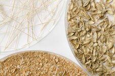 Agrarische Reststoffe