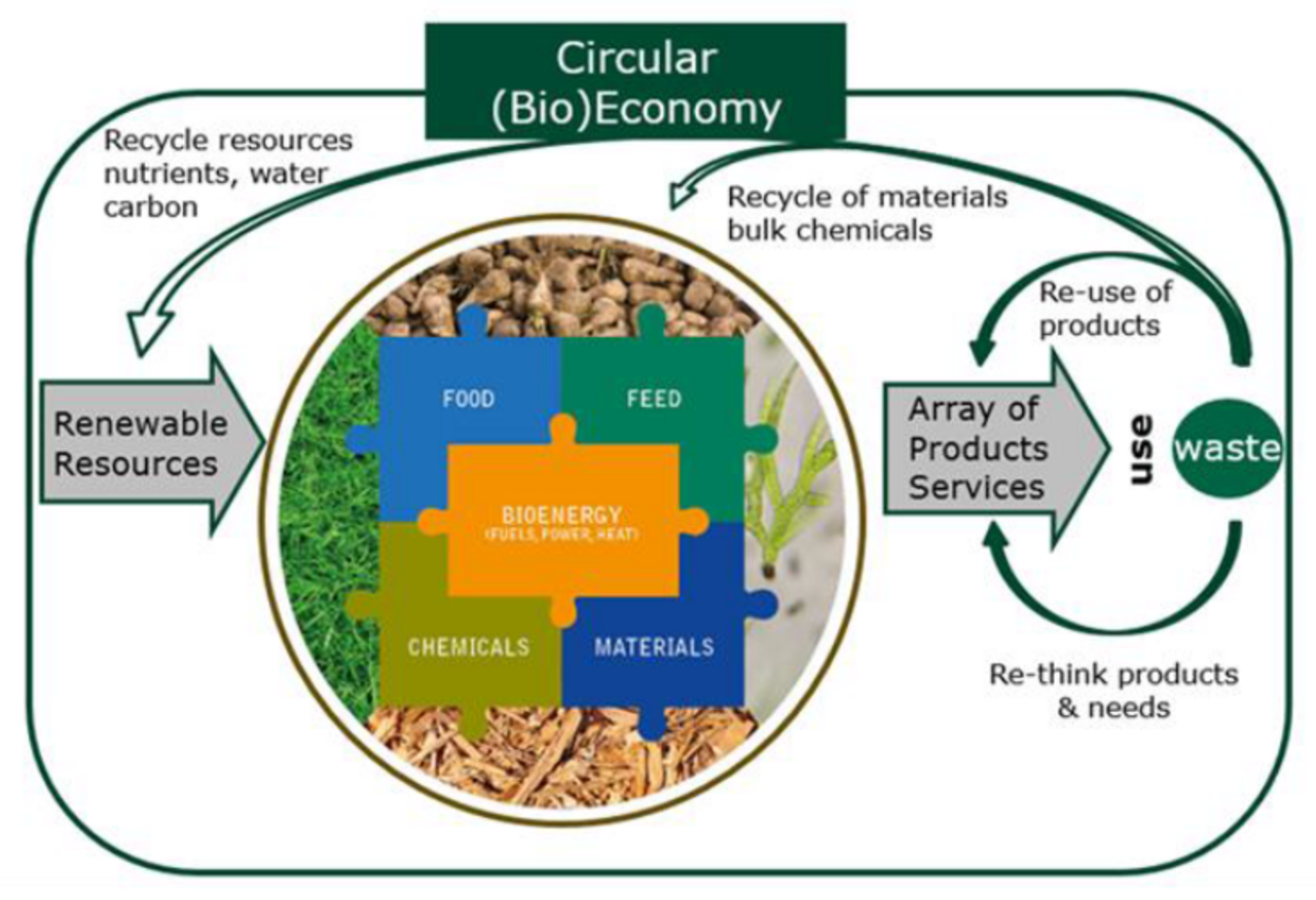 Bioraffinerien und Kreislaufwirtschaft