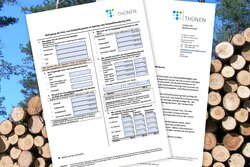 Rohstoffmonitoring Holz