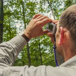 Waldressourcen und Klimaschutz