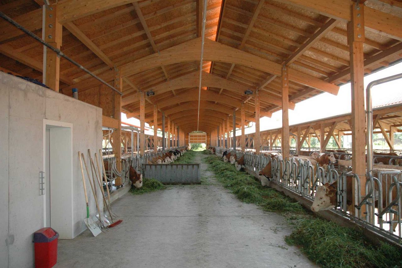 neu gebauter Milchviehstall, Agrarinvestitionsförderung