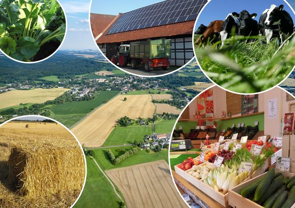 Collage of different photos for agricultural and business structures