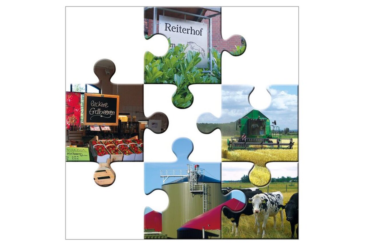 Gewerbliche Aktivitäten tragen bei vielen landwirtschaftlichen Haushalten wesentlich zum Gesamteinkommen bei