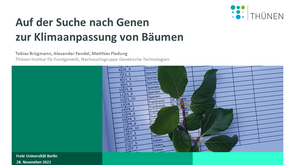 Präsentationsfolie mit dem Titel "Auf der Suche nach Genen zur Klimaanpassung von Bäumen". Das Logo vom Thünen-Institut sowie ein Buchenzweig sind angebildet.