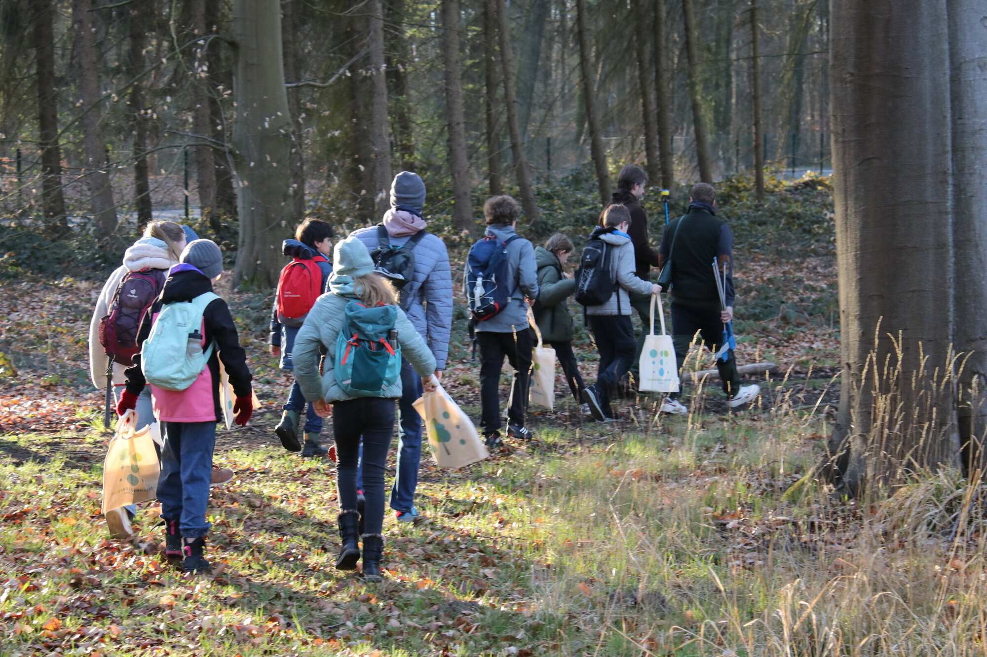 Eine Gruppe von Schulkinder, angeleitet von Erwachsenen von hinten, wie sie durch den sonnigen Wald gehen.